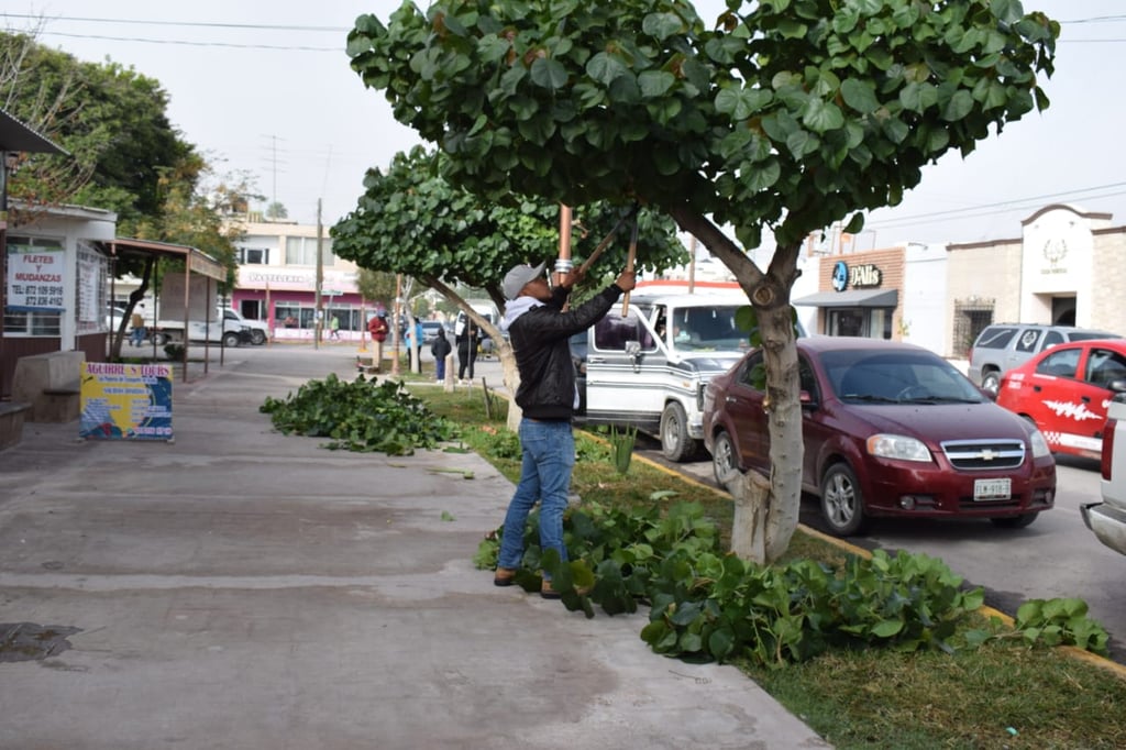 Esfuerzos buscan no solo embellecer la plaza. (MARÍA DE JESÚS VÁZQUEZ)