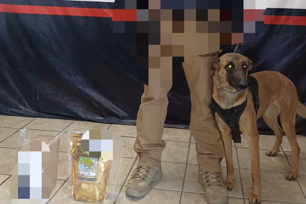 Fueron detectados dos empaques con droga, en una empresa de paquetería de Torreón.