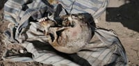 Encuentran cráneo en la colonia Rincón la Merced de Torreón