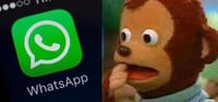 Nuevos términos de WhatsApp desatan memes