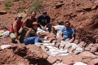 Paleontólogos argentinos anunciaron el descubrimiento del titanosaurio más antiguo del mundo, que habitó la Patagonia argentina hace 140 millones de años. (ARCHIVO) 
