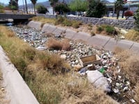 Arriba a Torreón agua del río cargada de basura