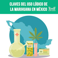 Claves del uso lúdico de la marihuana en México
