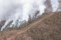 Incendio de 'La Pinalosa' en Arteaga tiene un control del 70% y 40% de liquidación