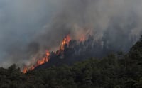 Responsable del incendio en Arteaga tendría sanción de 4.4 millones