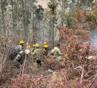 Se suman 60 brigadistas más para combatir incendio en Sierra de Arteaga