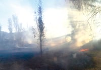 Golpean incendios forestales a Durango