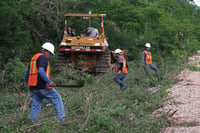AMLO confirma trabajo para migrantes en construcción del Tren Maya