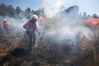 Incendios forestales en Oaxaca han afectado 24 mil hectáreas