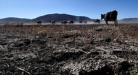 Sequía es la más intensa en 10 años en Durango