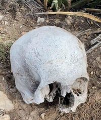 Monclovense encuentra cráneo humano en libramiento Eliseo Mendoza