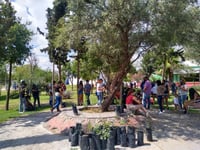 Torreón, Gómez Palacio y Lerdo firmarán pacto metropolitano de reforestación