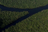Algunas zonas del Amazonas emiten más carbono del que absorben