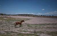 La agencia Moody's advierte que la sequía en México afectará a la energía, minería y bebidas