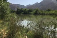 Juzgado Séptimo de Distrito en La Laguna no consideró a lugar petición de Eco Cañón AC por Agua Saludable