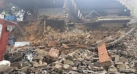 Perritos quedan sepultados tras deslizamiento de tierra sobre albergue Milagros Caninos en Xochimilco