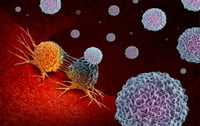 El 'contexto celular', un aspecto clave para la formación del cáncer
