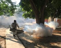 En Coahuila reportan seis casos de dengue
