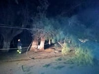 Bomberos de Torreón atienden caída de árboles e incendios por tolvaneras