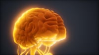 La depresión severa mejora con una nueva técnica de estimulación cerebral