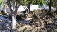 Servicios Públicos en Gómez Palacio pide no tirar basura en áreas verdes