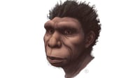 Homo bodoensis, un nombre nuevo para un ancestro humano en África