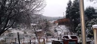 Durango registra la primera nevada de 2021