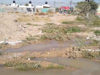 Vecinos de La Cantera en Torreón enfrentan problema de drenaje e insalubridad