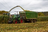 EUA exportará más maíz y menos trigo por la guerra en Ucrania
