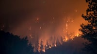 Durango, cuarto estado con mayor superficie afectada por incendios