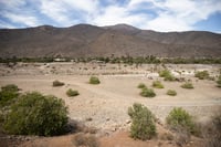 Sequía severa llega a otros 4 municipios de Durango