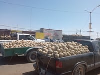 Pese a incremento, productores ven insuficiente el precio del melón