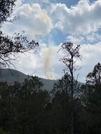 Se registra incendio en la sierra de Arteaga
