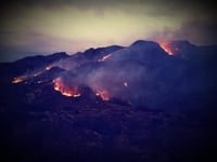 Avanza combate a incendio forestal en San Bernardo