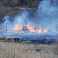 Se registra nuevo incendio forestal en Durango