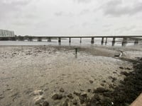 Drena de agua el huracán 'Ian' a bahía de Tampa