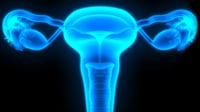 Prolapso uterino, riesgo inminente para las mujeres multíparas
