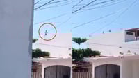Difunden video de la captura de 'El Nini'