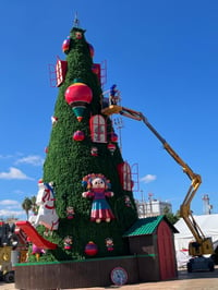 Concluirá esta semana la instalación de decoración navideña en Torreón