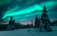 ¿Qué es la noche polar y dónde ocurre este fenómeno?