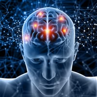 Describen cómo la información sensorial se transmite entre los hemisferios del cerebro