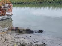 Localizan cuerpo sin vida de un hombre y un menor en río Bravo; lo llevaba atado a su cuerpo