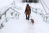 Fuertes nevadas causan cortes de tráfico en Alemania y Austria