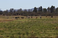 'No basta con dar subsidios a productores, el campo requiere infraestructura', señalan en foro