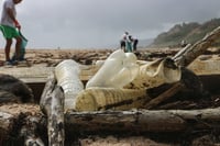 Países de la UE acuerdan que tirar basura desde un barco sea tratado como vertido ilegal