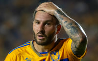 Tigres vuelve a entrenar sin André-Pierre Gignac