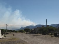 En lo que va de este mes ya se han reportado y atendido cinco incendios forestales, los cuales han dañado 12 hectáreas. (EL SIGLO DE TORREÓN)