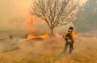 Miles de cabezas de ganado han muerto por incendios en Texas