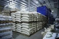CR realiza su primera exportación de café libre de deforestación