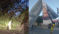 Fuertes vientos provocan caída de árbol y lona en Torreón